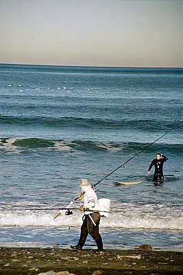 Different kinds of activity along the coast