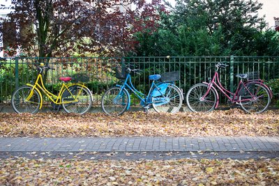 Masser af cykler i Münster