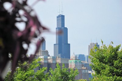 Sears Tower - fra Museum Island