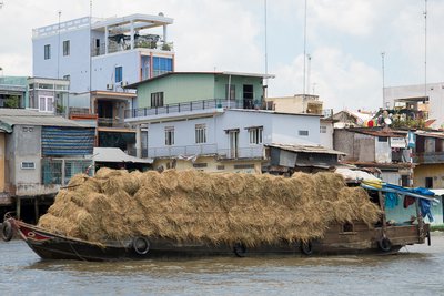Mekong Deltaet