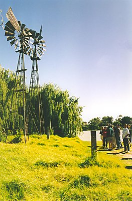 Vindmøller ved Murray River
