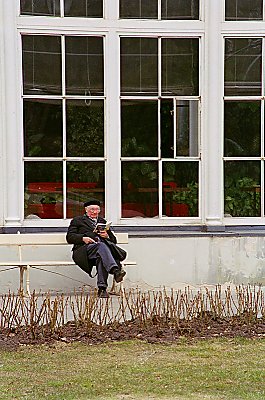 Reading in the park