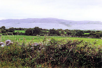 Lige syd for Galway er et sjovt område der hedder "The Burren". Den flotte violette farve er lyngplanter. Det lignede nærmest et violetfarvet månelandskab.