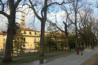 The citywall of Lucca