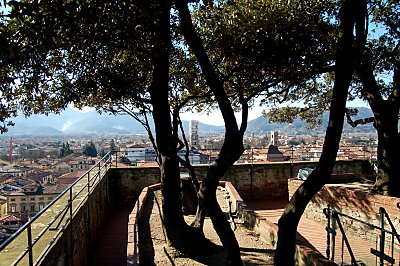 View from Torre Guinigi